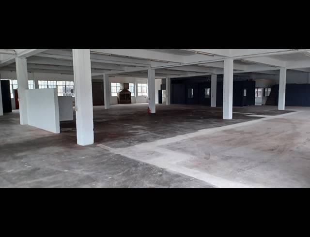1,000M² WAREHOUSE TO LET IN NEW GERMANY